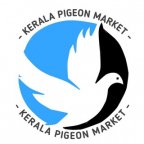 Kerala Pigeon Market