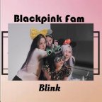 Blackpink Fans